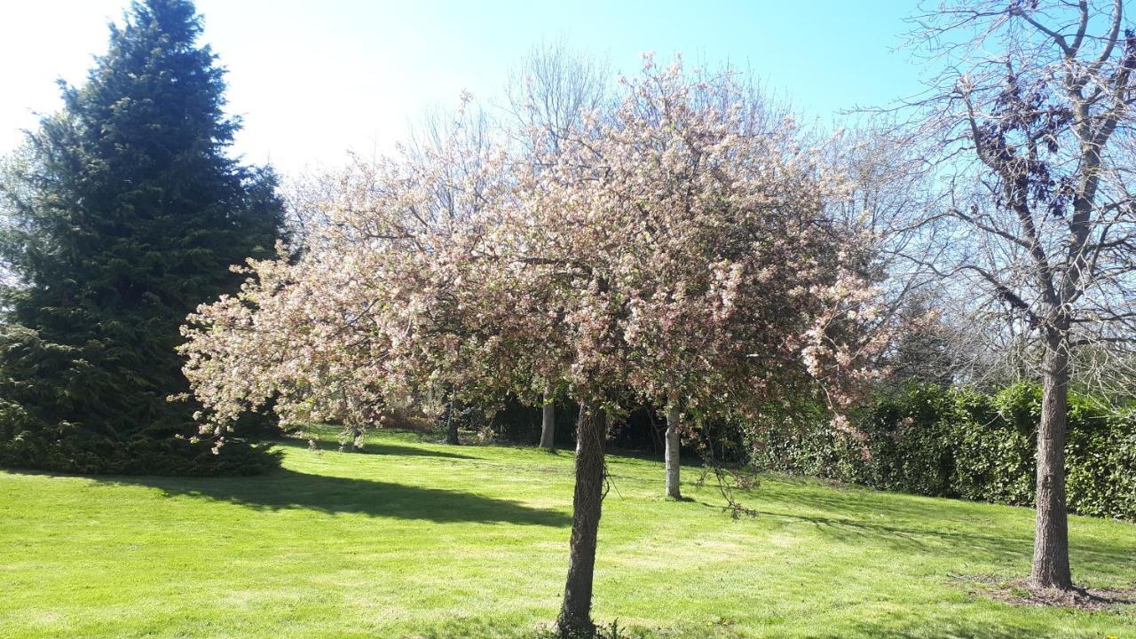 Gite De Bon Air Sens-de-Bretagne Экстерьер фото
